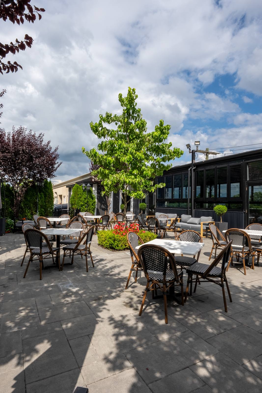 Rooftop patio tables shaded by trees beside the glass-walled dining room